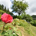 Charmantes In Deifeld Σπίτι διακοπών *