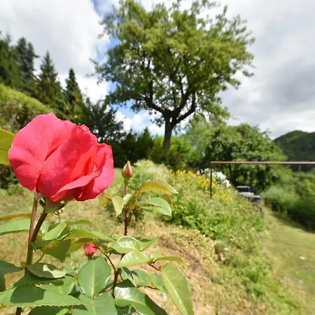 Charmantes In Deifeld Casa de Férias *