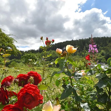 Ferienhaus Modern Holiday Home in Deifeld with Private Garden *