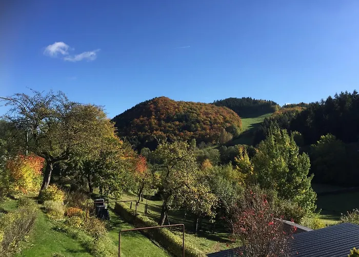 Ferienhaus Modern Holiday Home in Deifeld with Private Garden *