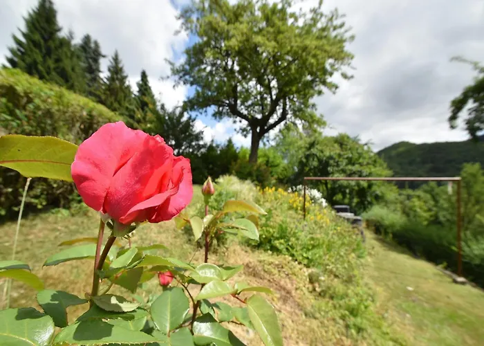 Charmantes In Deifeld Holiday home *