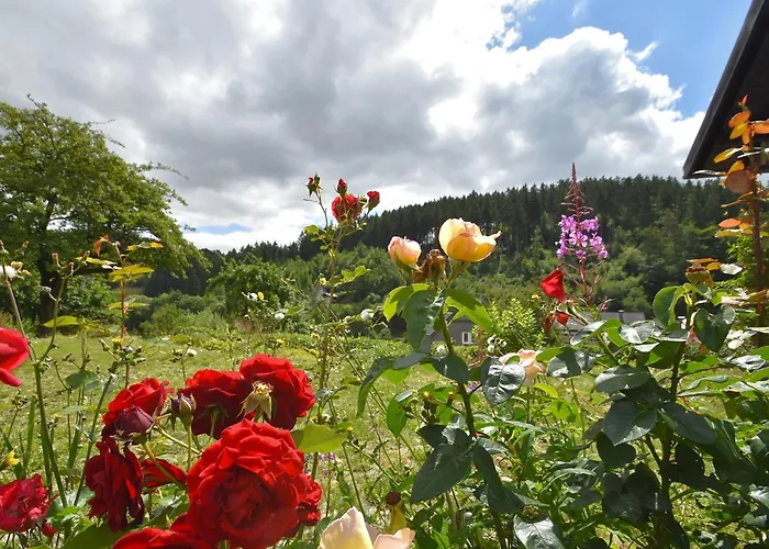 Holiday home Charmantes In Deifeld *